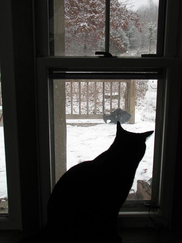 2008-12-07_First_Snow 083.jpg